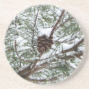 Zoek naar pine cone onderzetters Pijnkegeltje
