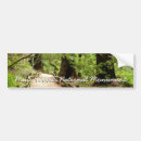 Recherche de woods photographie Nature