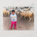 Recherche de troupeau cartes postales Troupeau de moutons