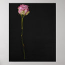 Recherche de objet simple posters Tir de studio