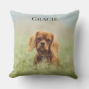 Recherche de cavalier king charles coussins D'anniversaire