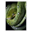 Zoek naar boa briefkaarten Zwart