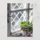 Recherche de plantation cartes postales Plantes