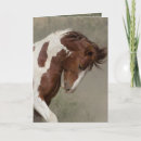 Recherche de portrait de cheval vœux cartes Blanc