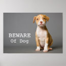 Zoek naar pit posters Puppy
