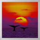 Recherche de queue de baleine posters Nature