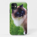 Recherche de ragdoll iphone coques Chat