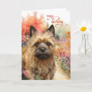 Recherche de terrier cairn vœux cartes Cairns