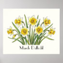 Zoek naar narcisse posters Lente