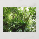 Recherche de forêts tropicales cartes postales Vert
