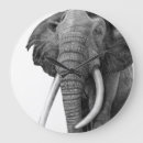 Recherche de la défense horloges Faune