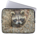 Recherche de raton laveur ordinateurs portables protections Animaux