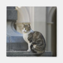 Recherche de cordoue magnets Destinations de voyage