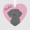 Zoek naar zwart labrador ornamenten Kerstmis