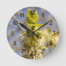 Recherche de verger horloges Vert