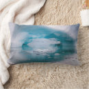 Recherche de iceberg coussins Glace
