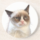 Recherche de m grincheux dessous de verres Chat