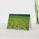 Zoek naar zonnebloemkaart kaarten Zonnebloemen