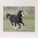 Recherche de poney blanc puzzles Animal