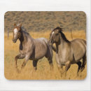 Recherche de cheval quart tapis souris Quarter horse