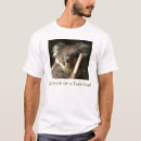 Recherche de humour koala Australien
