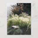 Recherche de grasse cartes postales Pour eux