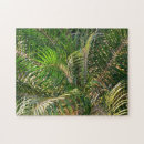 Recherche de tropiques puzzles Vert