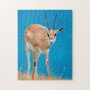 Recherche de gazelle puzzles Image en couleur