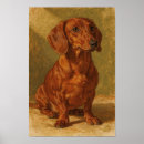 Zoek naar worst hond posters Hondenliefhebber
