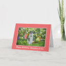 Recherche de blanc chat anniversaire cartes Animaux domestiques