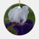 Recherche de iris ornements Nature