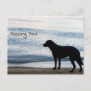 Recherche de missing you cartes postales Vous avez manqué