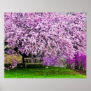 Recherche de banc de jardin posters Printemps