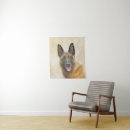 Recherche de chien berger belge posters Animal