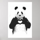 Recherche de panda drôle posters Mignon