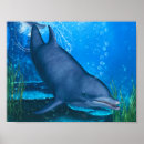 Recherche de océanographie posters Vie marine