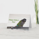 Recherche de conures vœux cartes Conure à joues vertes