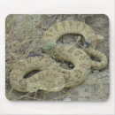 Recherche de sonnet tapis souris Serpent à sonnettes