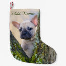 Recherche de french bulldog chaussette de noël Mignon