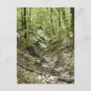 Recherche de pont en bois cartes postales Passerelle