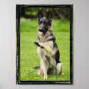 Zoek naar duitse posters Gsd