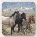 Recherche de mustang dessous de verres Plomb langrish