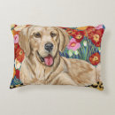 Zoek naar golden retriever kussens Huisdieren