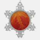 Recherche de érable ornements Photographie