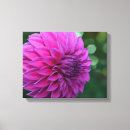 Zoek naar dahlia kunst Botanisch