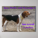 Recherche de refuges posters Chiens