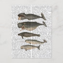 Recherche de baleine cartes postales Vintage