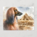 Recherche de chien afghan cartes postales Mignon