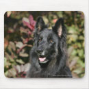 Recherche de noir cheveux tapis souris Chien