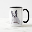 Recherche de chiot bouledogue français tasses Blanc